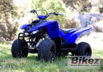 2009 Yamaha YFM50 photo